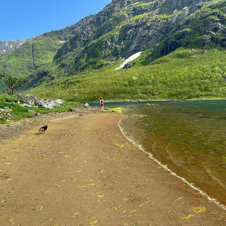 ueber_uns_355246061_256243157011048_215292334211907857_n_1080